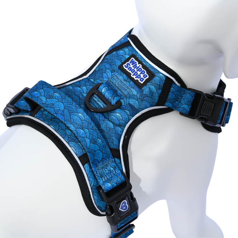 Flea & Tick Repelling Harness Ocean